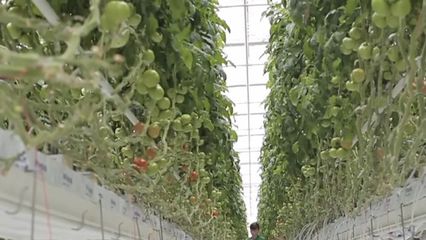 可控核聚變 從“人造太陽”到未來能源的漫漫長路